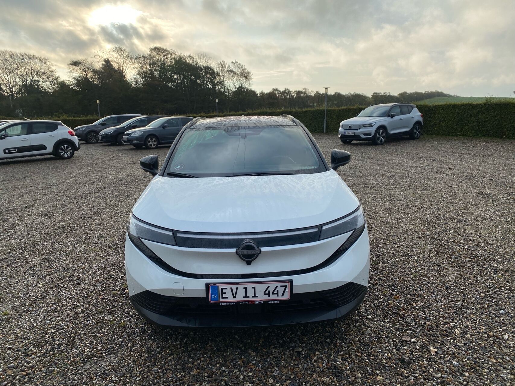 Billede af Nissan Leaf 75 kWh Evolve 217HK 5d Aut.