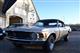 Billede af Ford Mustang 5,0 313HK Cabr. Aut.