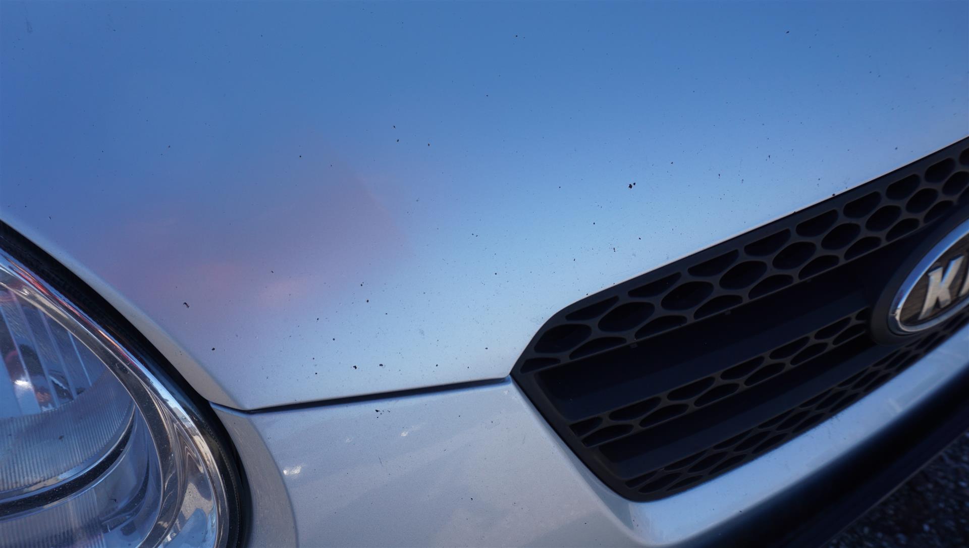 Billede af Kia Picanto 1,1 Pure 65HK 5d