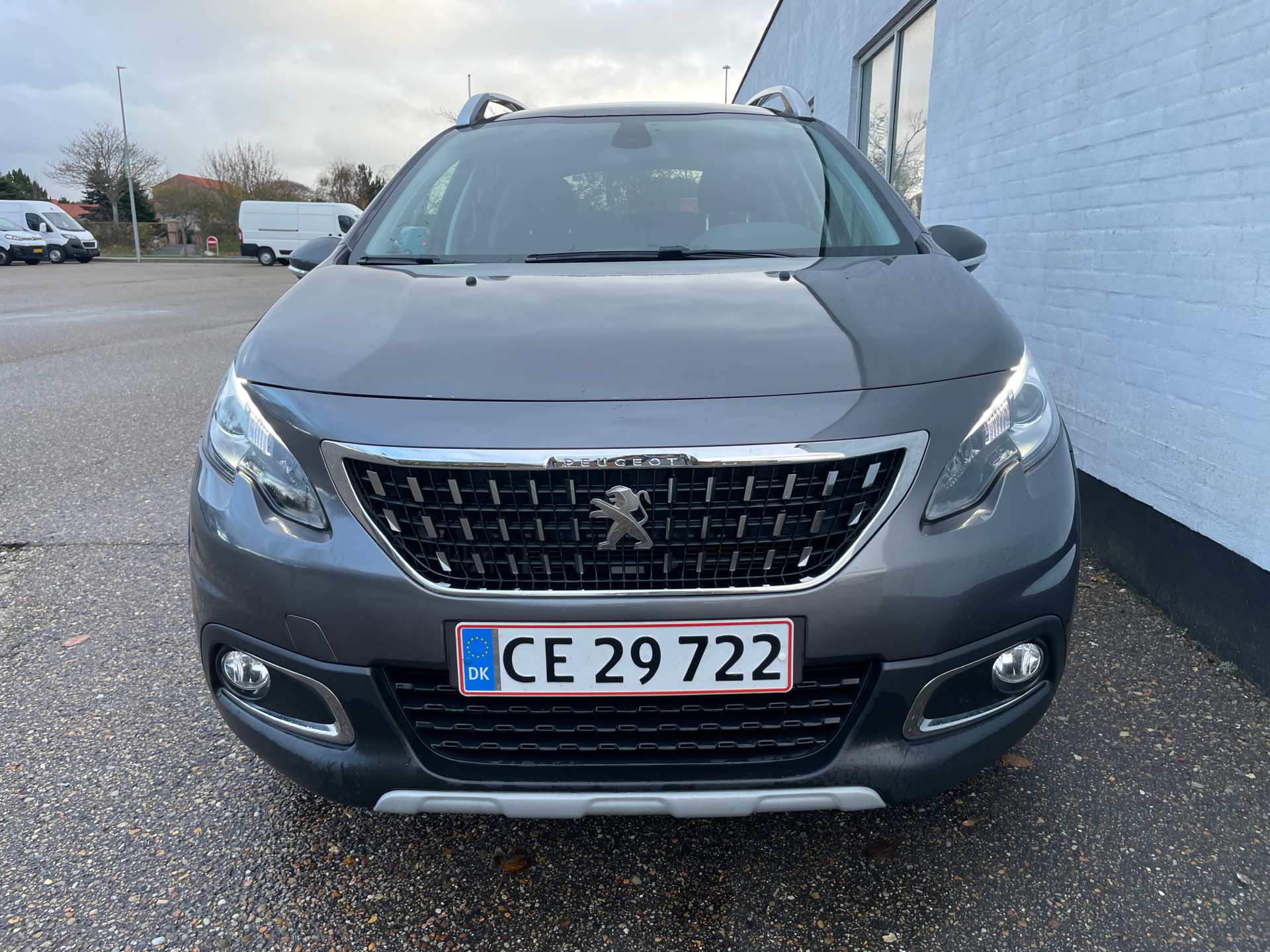 Billede af Peugeot 2008 1,6 BlueHDi Selection Sky 100HK 5d