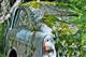 Billede af Yugo Florida 1,3 EFI 68HK 5d