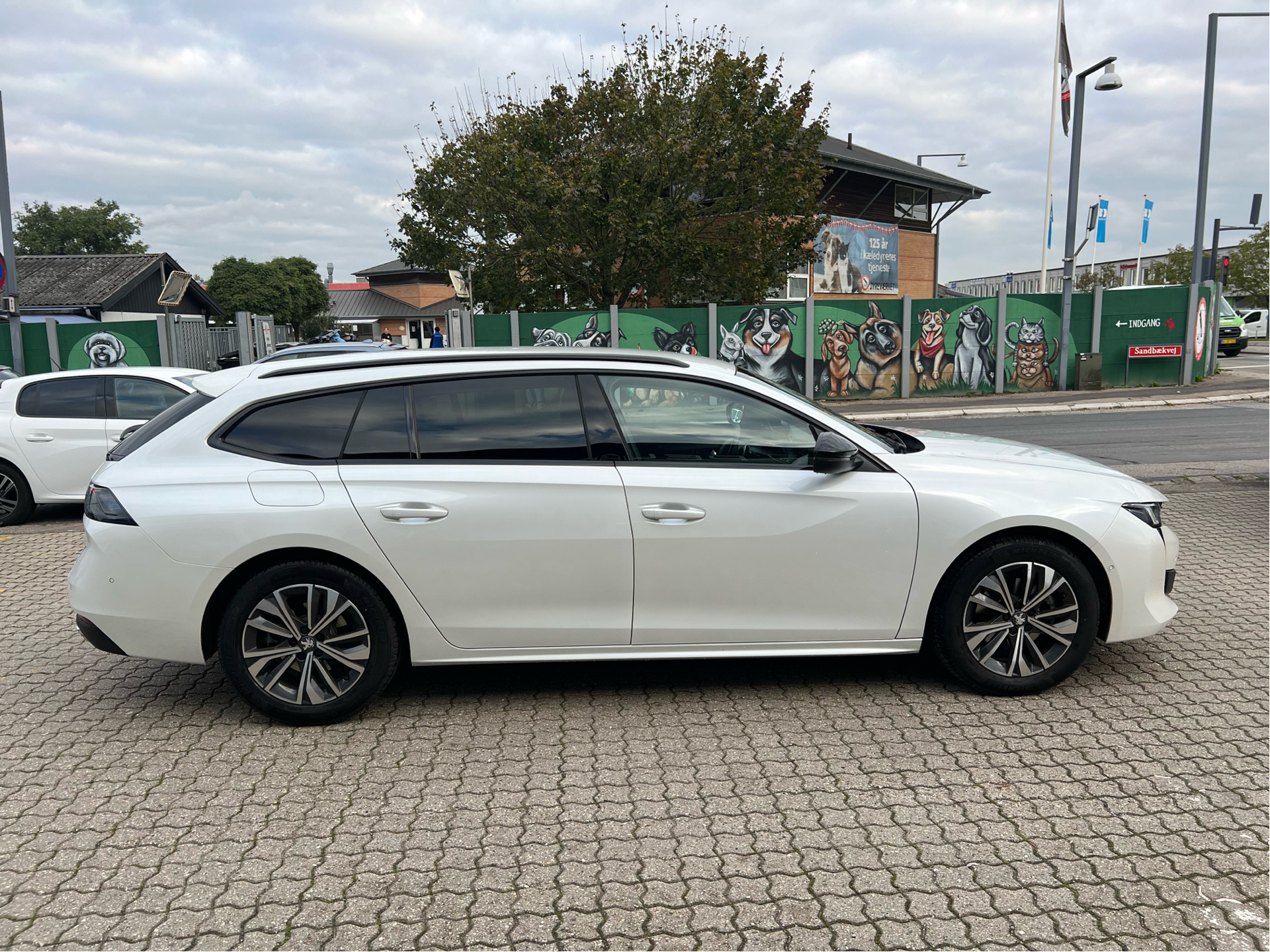 Billede af Peugeot 508 SW 1,5 BlueHDi Allure Pack EAT8 start/stop 130HK Stc 8g Aut.