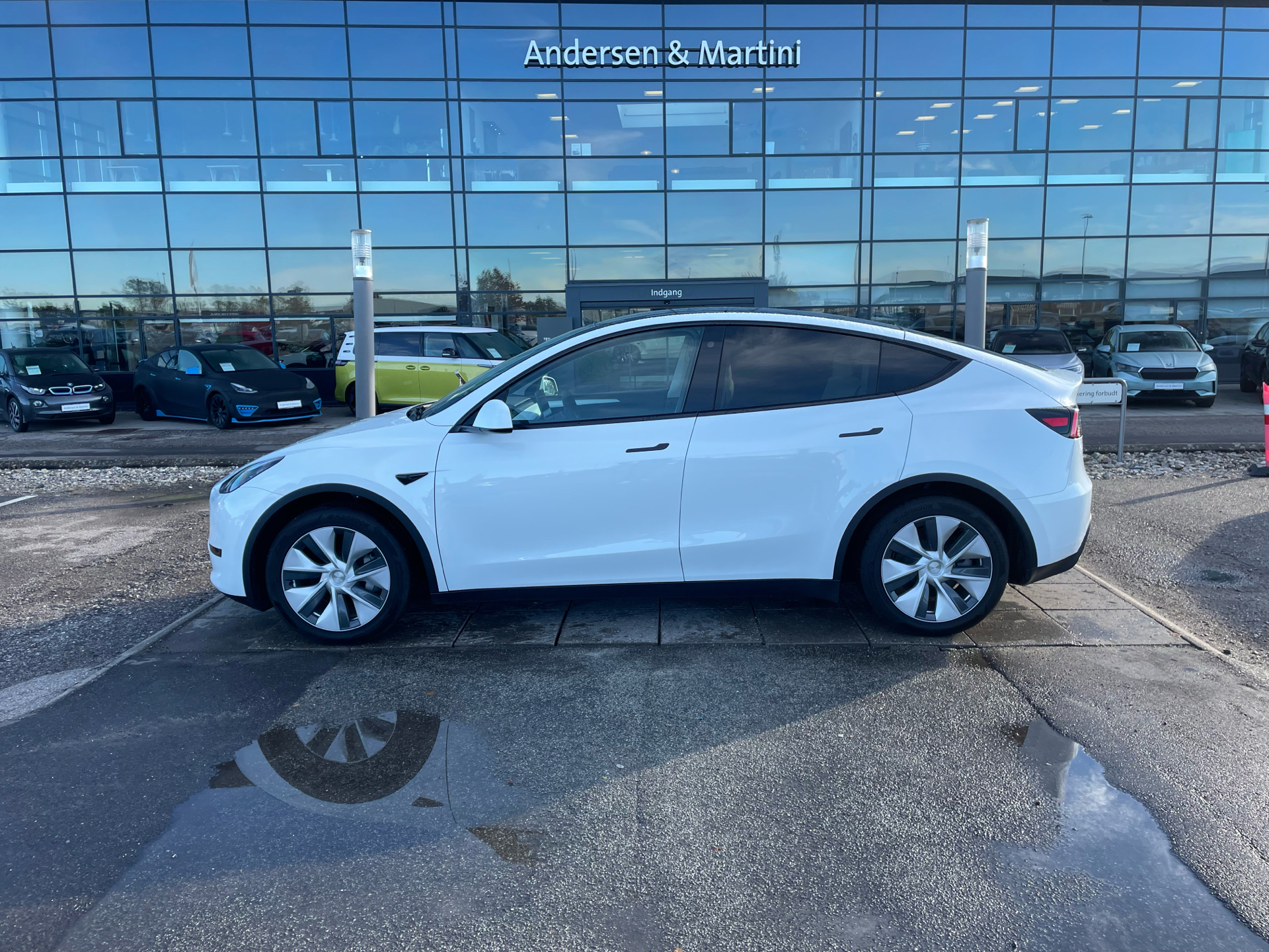 Tesla Model Y EL Standard Range Anhængertræk + Hvidt indtræk 299HK 5d Aut.