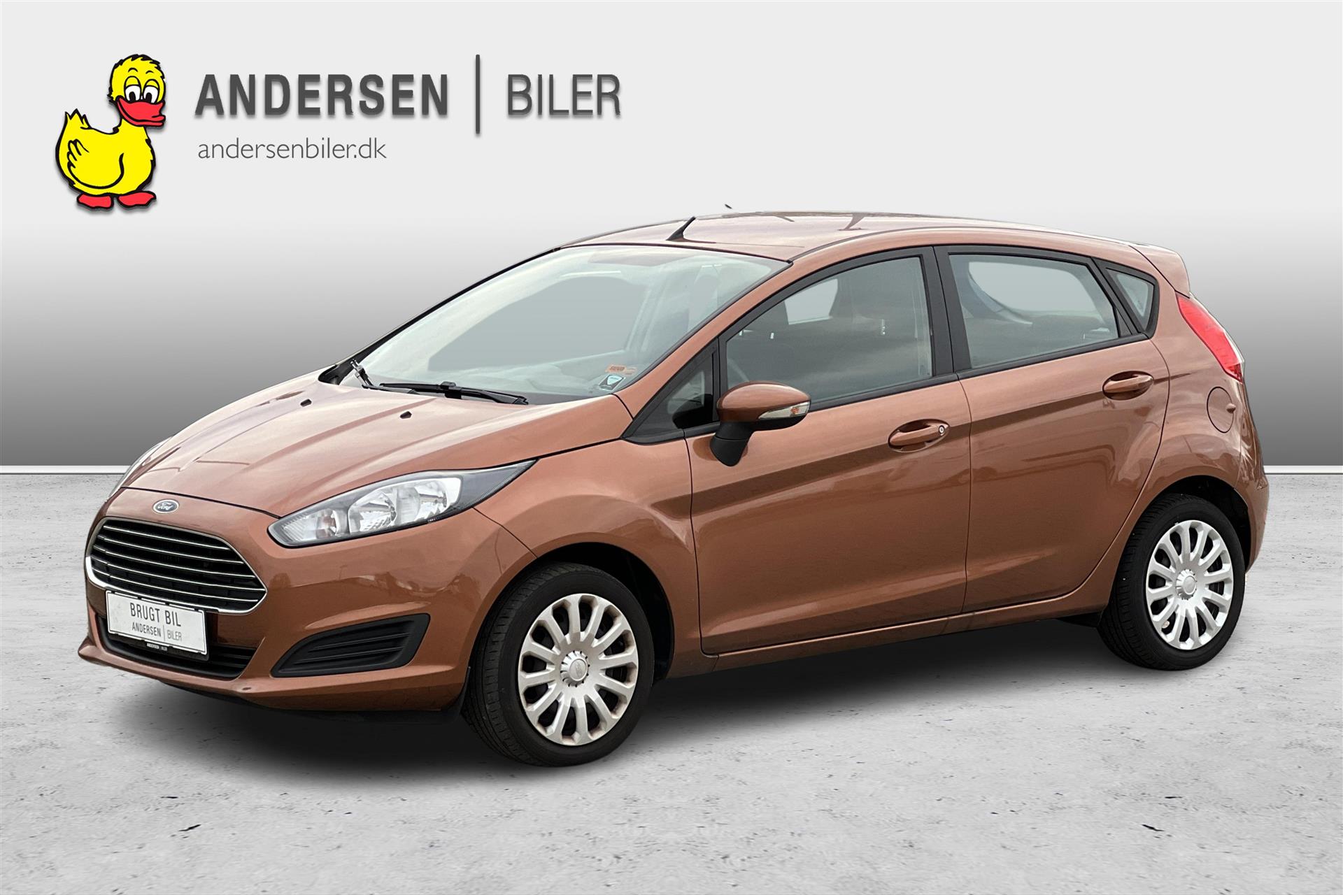 Ford Fiesta 1,0 EcoBoost Trend Start/Stop 100HK 5d